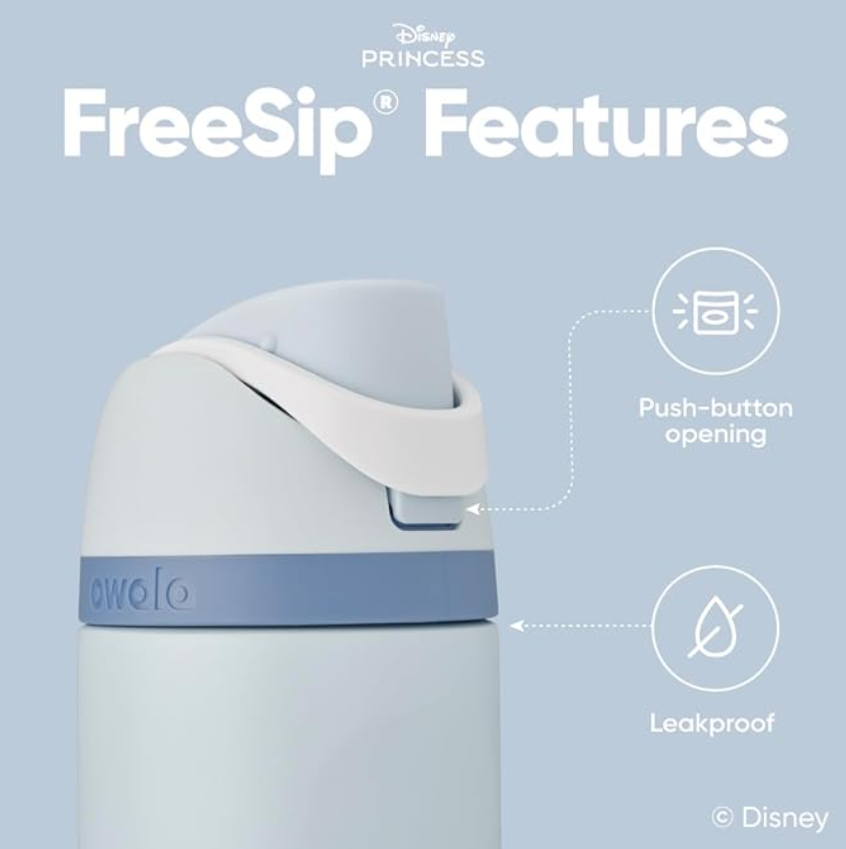 Owala Disney Princess FreeSipWater Bottle – 24oz Cinderella
