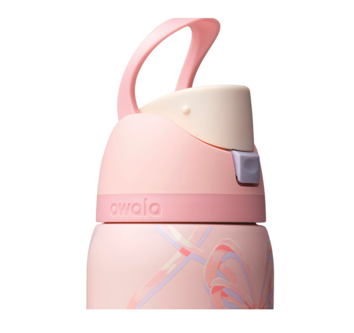 Owala 32oz FreeSip StainlessSteel Water Bottle – Sugar PlumFairy