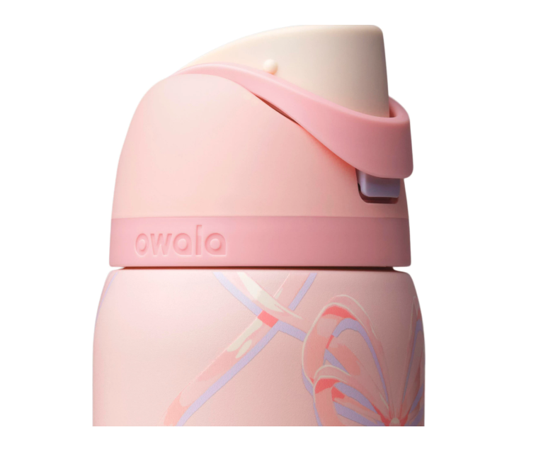 Owala 32oz FreeSip StainlessSteel Water Bottle – Sugar PlumFairy