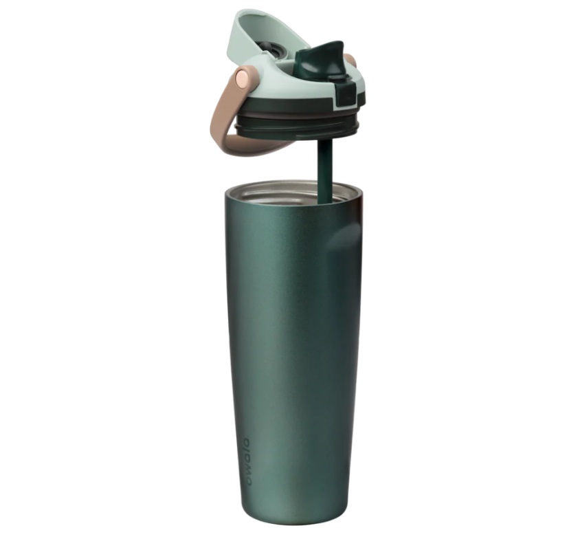 Owala 30oz FreeSip SwayStainless Steel Water Bottle –Wintergreen